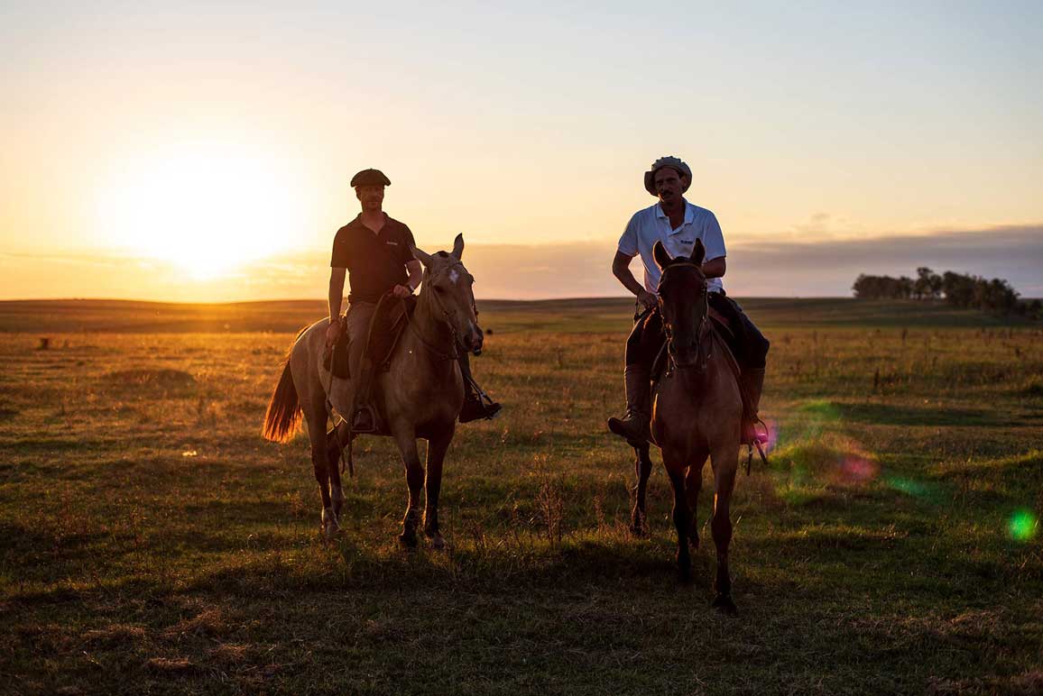 Amplifying regenerative farmland practices for lasting impact.
